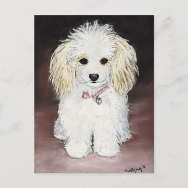 Poodle Dog Art Postcard (Front)