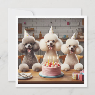Poodle dog card,  Poodle birthday Invitation