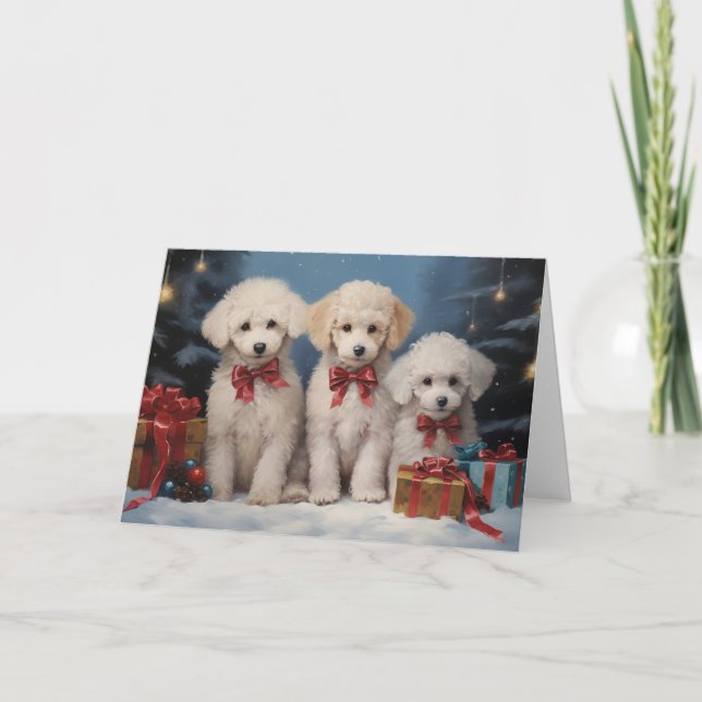 Poodle dog Christmas card (Front)