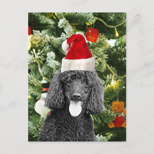 Poodle Dog Christmas Tree Snowman Red Santa Hat Holiday Postcard (Front)