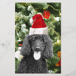 Poodle Dog Christmas Tree Snowman Red Santa Hat Stationery