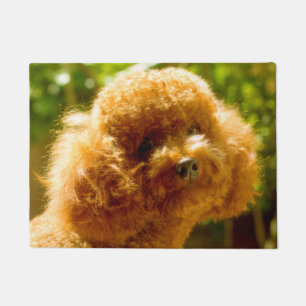 Poodle Dog. Doormat