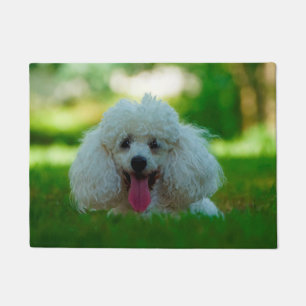 Poodle Dog. Doormat