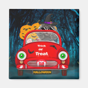 Poodle Dog Driving Car Scary Halloween Magnet