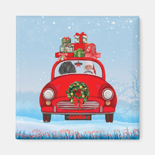 Poodle Dog In Car With Santa Claus Magnet