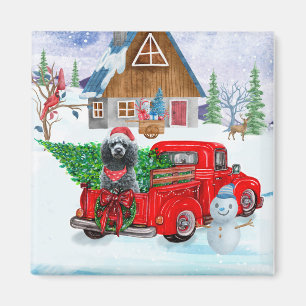Poodle Dog In Christmas Delivery Truck Snow Magnet