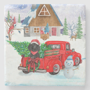 Poodle Dog In Christmas Delivery Truck Snow Stone Coaster
