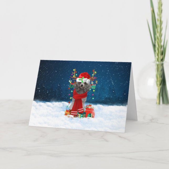Poodle Dog in Snow with Christmas Gifts  Card (Front)
