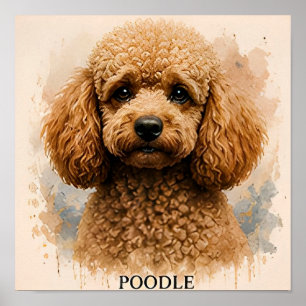 Poodle Dog Lover Gift Poster