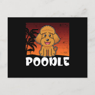 Poodle Dog   Poodles Postcard
