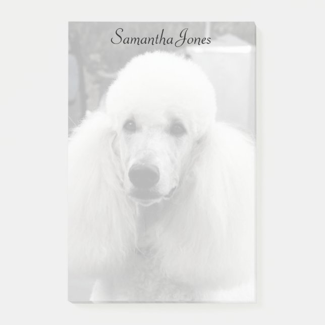 Poodle dog post it notes (Front)