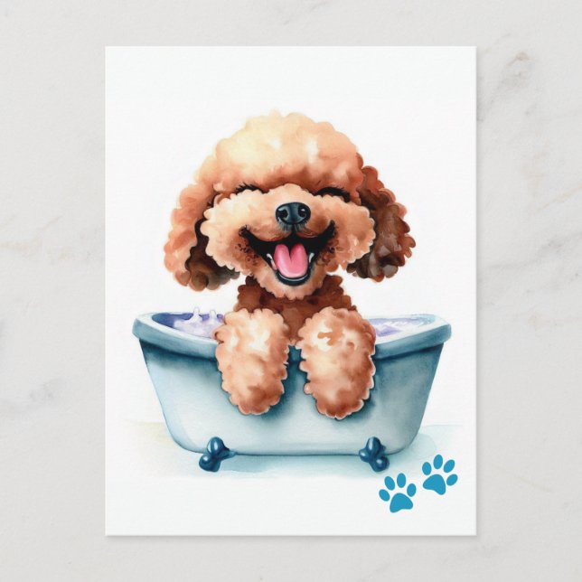 Poodle Dog Postcard (Front)
