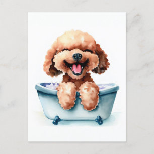 Poodle Dog Postcard