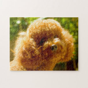 Poodle Dogs. Jigsaw Puzzle
