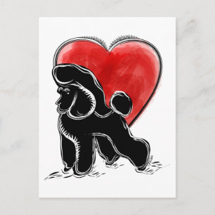 Poodle Drawing Postcard