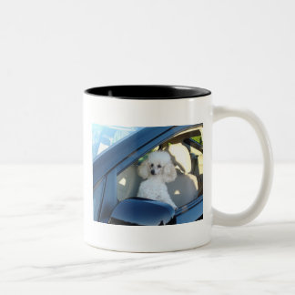 Poodle Driver Two-Tone Coffee Mug