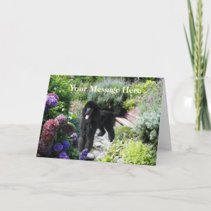 Poodle Garden Greeting Card