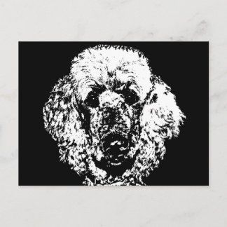 Poodle Gifts - Postcard