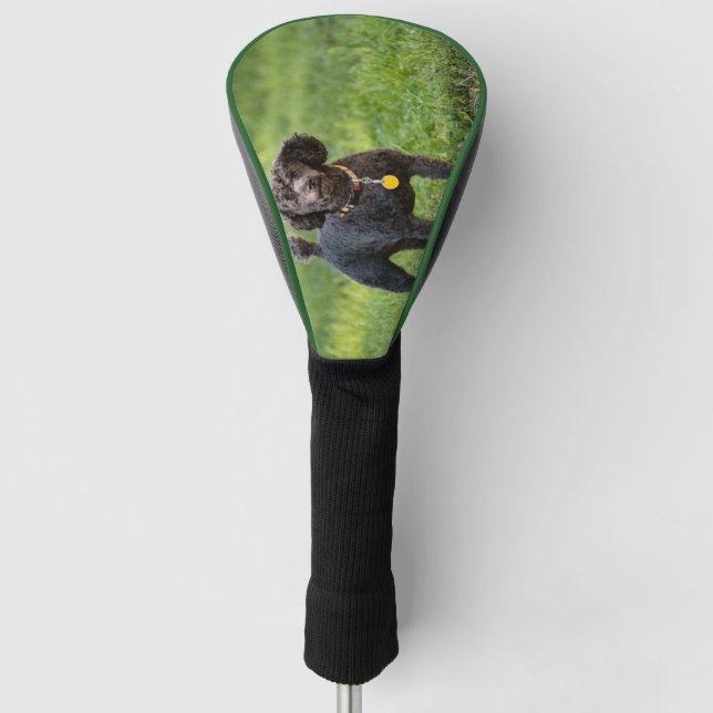 Poodle Golf Head Cover (Front)