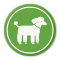 Poodle Graphic (Green)