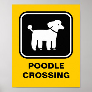 Poodle Graphic (White on Black) Poster
