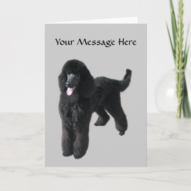 Poodle Greeting Card (Front)