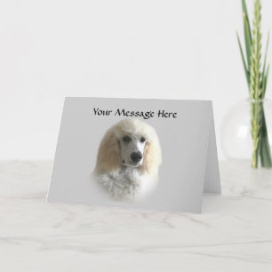 Poodle Greeting Card