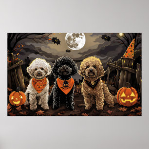 Poodle Halloween Spooky Poster