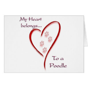 Poodle Heart Belongs