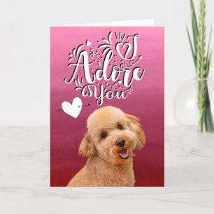 Poodle ...I adore you Valentine's Day Holiday Card