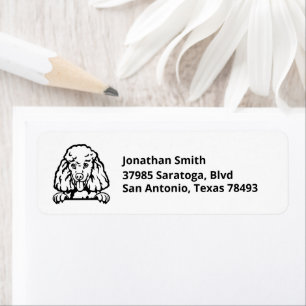 POODLE Image on Return Address