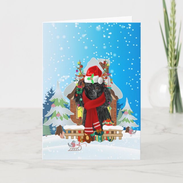 Poodle in snow with Christmas gifts  Card (Front)