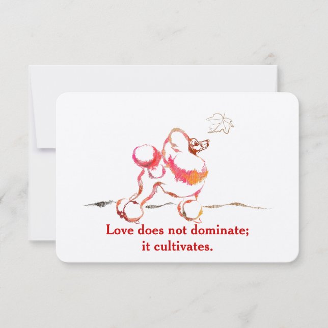 Poodle Invitations (Front)