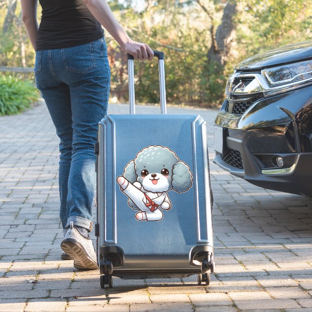 Poodle karate high kick martial arts (Suitcase Insitu)