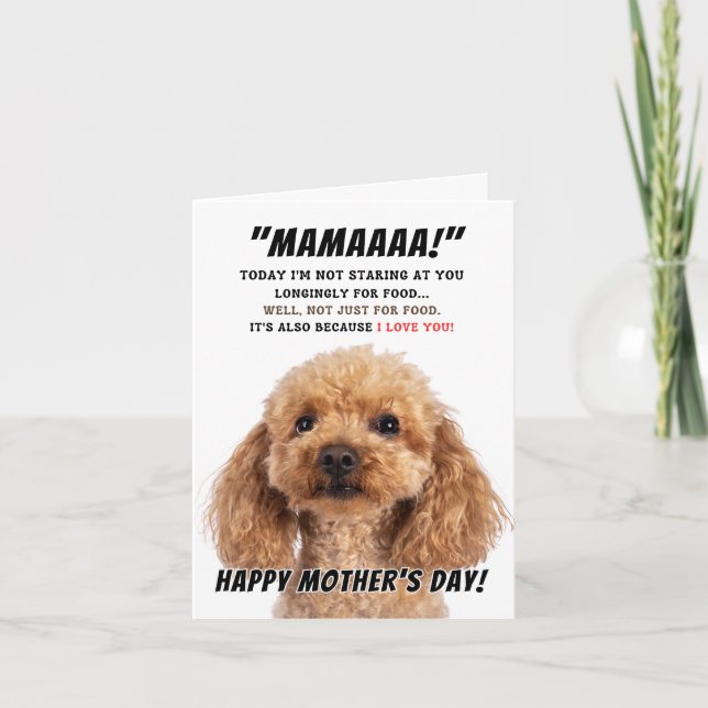 Poodle love for mother's day thank you card (Front)