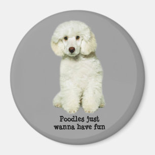 Poodle Magnet