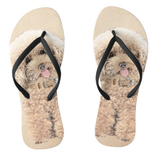 Poodle Miniature Toy Apricot Cream Brown Dog Art Flip Flops
