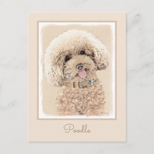 Poodle Miniature Toy Apricot Cream Brown Dog Art Postcard (Front)