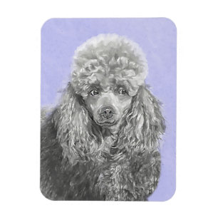 Poodle Miniature Toy Silver Grey Blue Dog Art Magnet