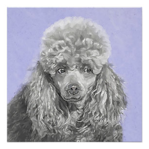 Poodle Miniature Toy Silver Grey Blue Dog Art Poster