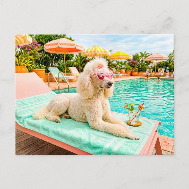 Poodle on lounge chair postcard (Front)