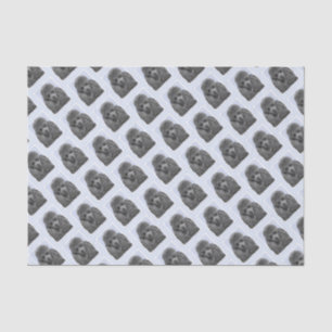 Poodle Painting Miniature Toy Black Original Art Tissue Paper