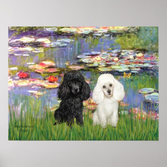 Poodle Pair (Black + White) - Lilies 2 Poster (Front)