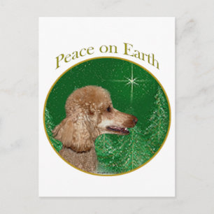 Poodle Peace Postcard