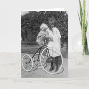 Poodle Perch, 1913 Card