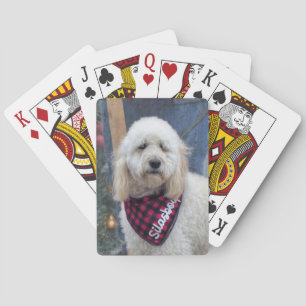Poodle Playing Cards