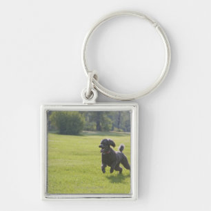 Poodle playing frisbee key ring
