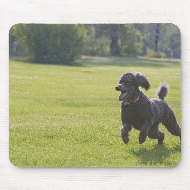 Poodle playing frisbee mouse mat (Front)