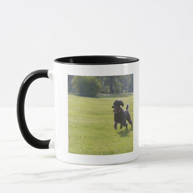Poodle playing frisbee mug (Left)