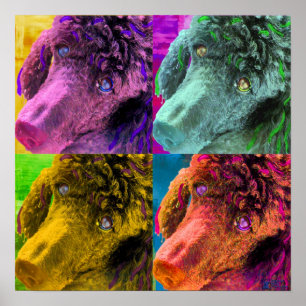 Poodle Pop Art Colourful Style Poster